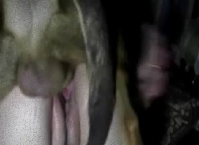 Video :Dog hard fucking the fluffy pussy of slut